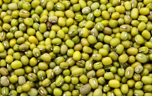 Legumes caption #11