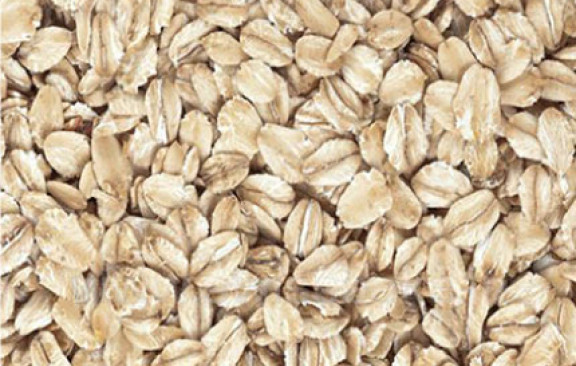 Oatmeal caption #1