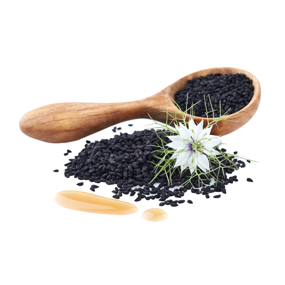 Oily Seeds